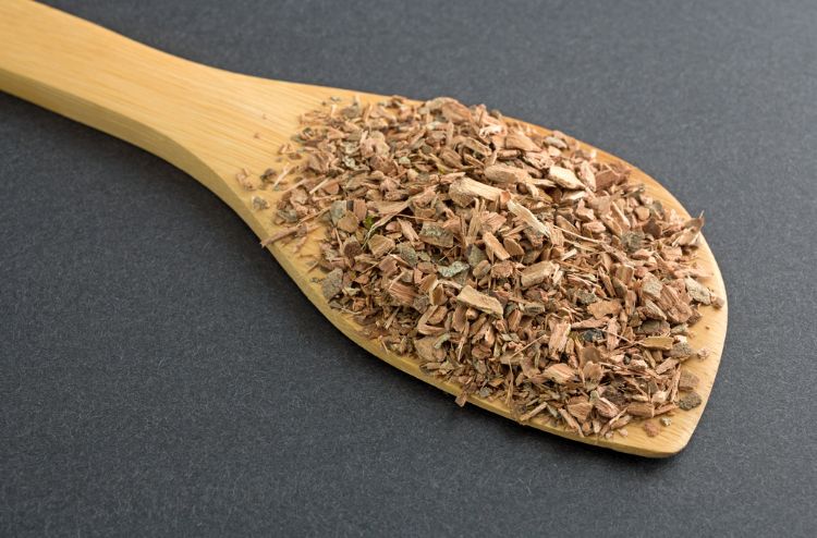 Top 16 verrues génitales : traitements naturels efficaces hamamélis distillat astringent traitement naturel condylomes génitaux