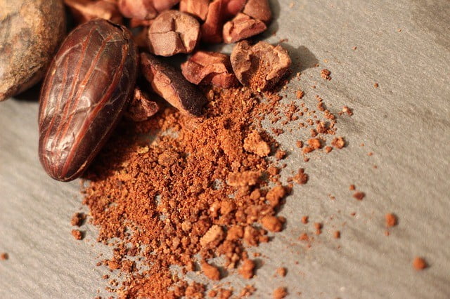 Aliments riches en fibres : Poudre de cacao