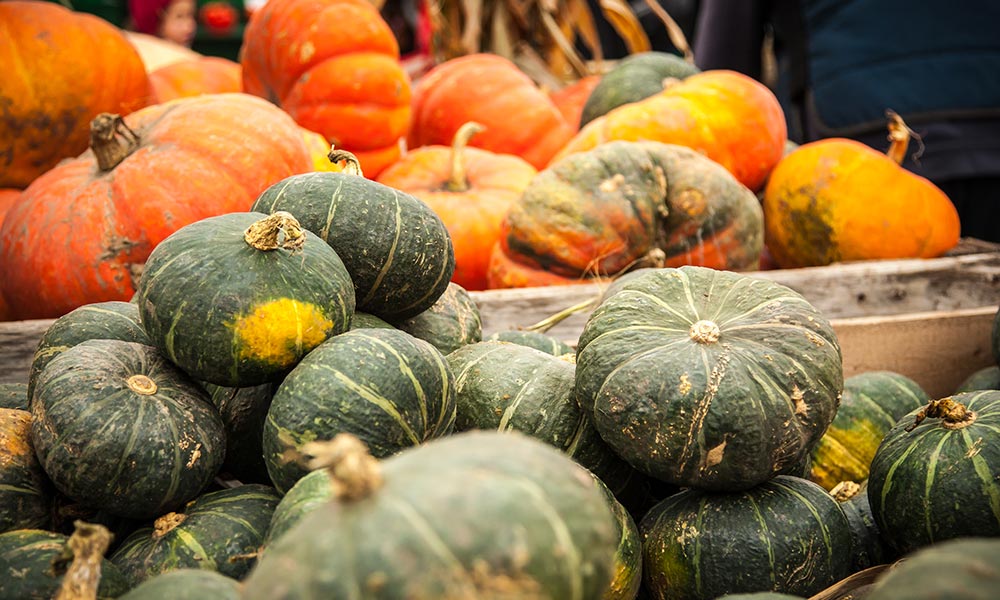 Aliments Brûle-graisse : Top 35 pour maigrir vite Aliments brûle-graisse courge poivrée rôtie au four