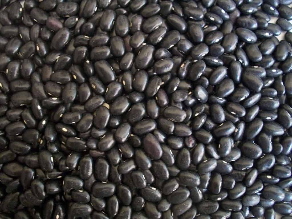 Aliment riche en fibre : Les haricots noirs