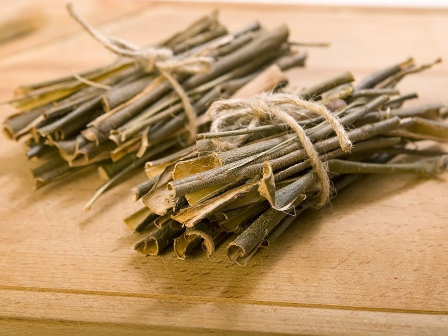 Top 16 verrues génitales : traitements naturels efficaces écorce de saule acide salicylique traitement naturel condylomes génitaux