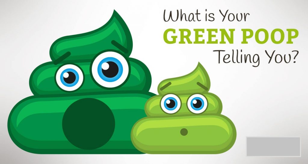 Selles vertes causes : Qu'est-ce qui rend les selles vertes ?