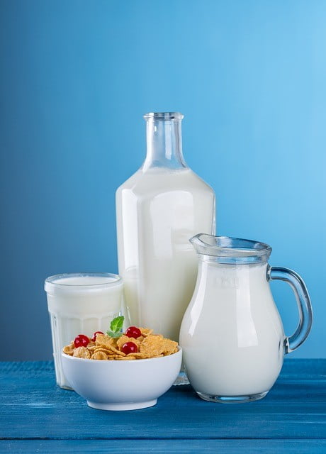 régime cétogène quoi manger produits laitiers