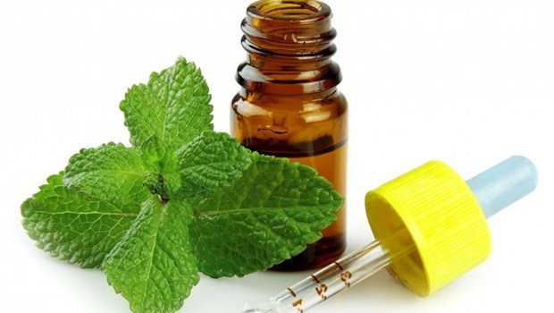 L’huile essentielle de menthe poivrée contre les maux de tête
